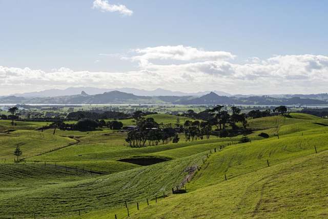 614 Te Maire Rd Te Kopuru_1