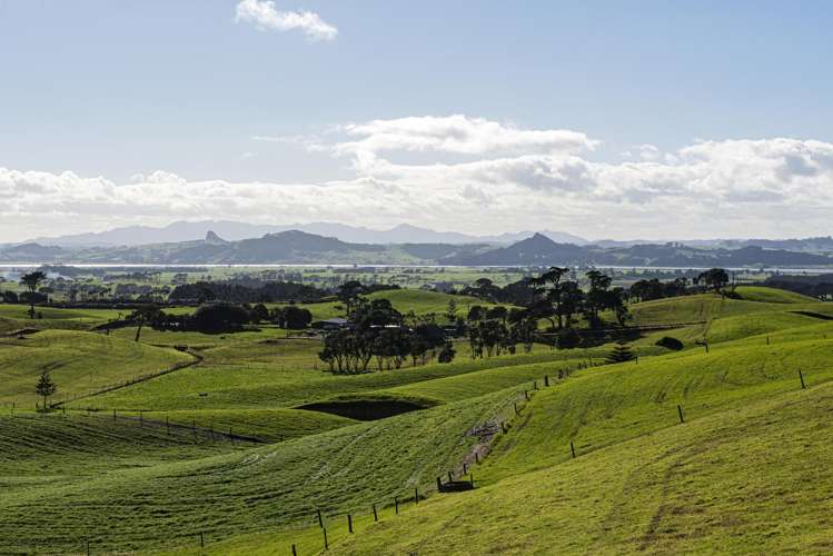614 Te Maire Rd_0