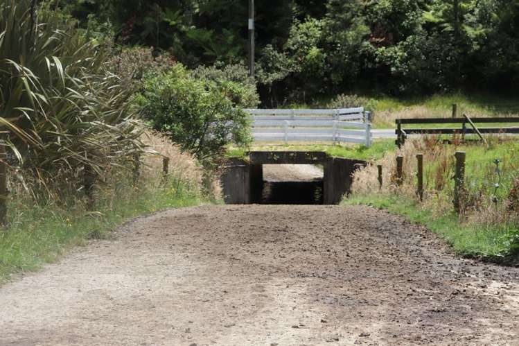 1502 Karamea Highway Corbyvale_8