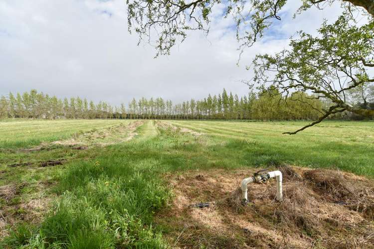 407 Pesters Road West Eyreton_16