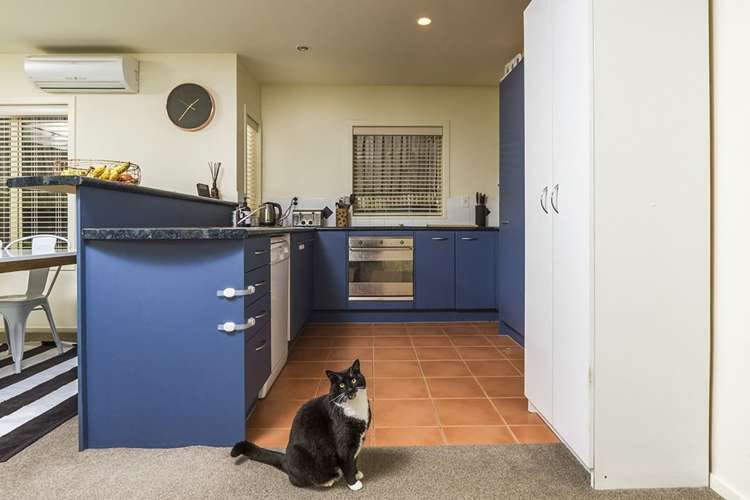 8/20 Fields Parade Oteha_7