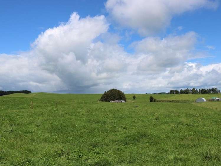 1190 Lake Arapuni Road Putaruru_0