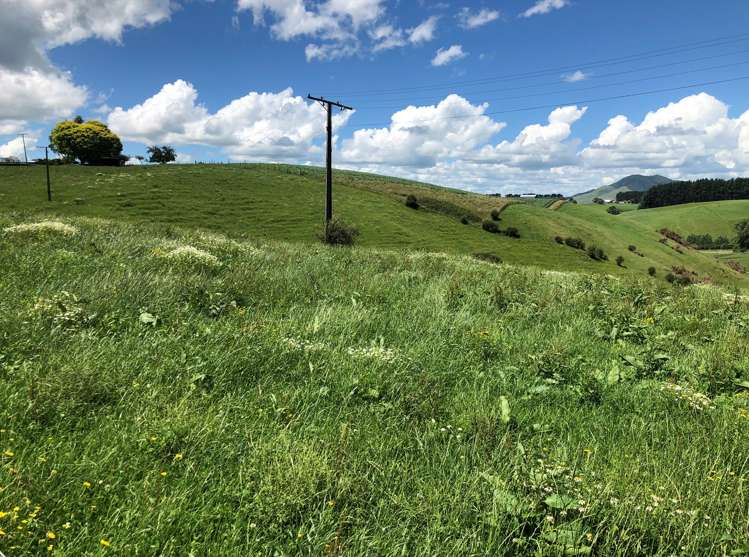 1564 State Highway 31 Kawhia Road Otorohanga_20