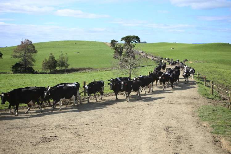 310 Ginn Road Huntly_9