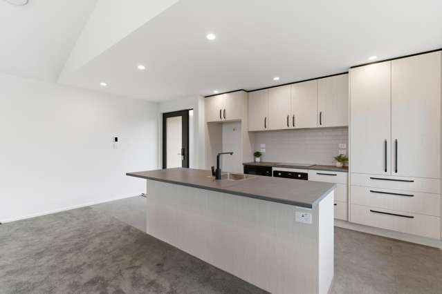 99 Hoffman Court Waikiwi_4