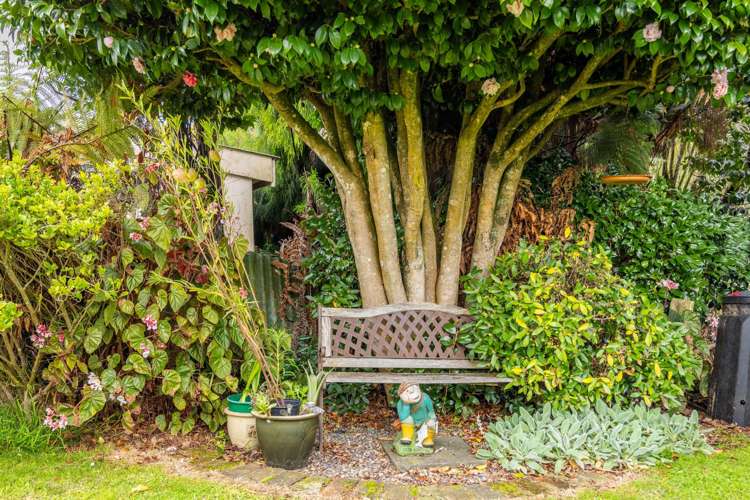 1/65 Ohaupo Road Te Awamutu_27