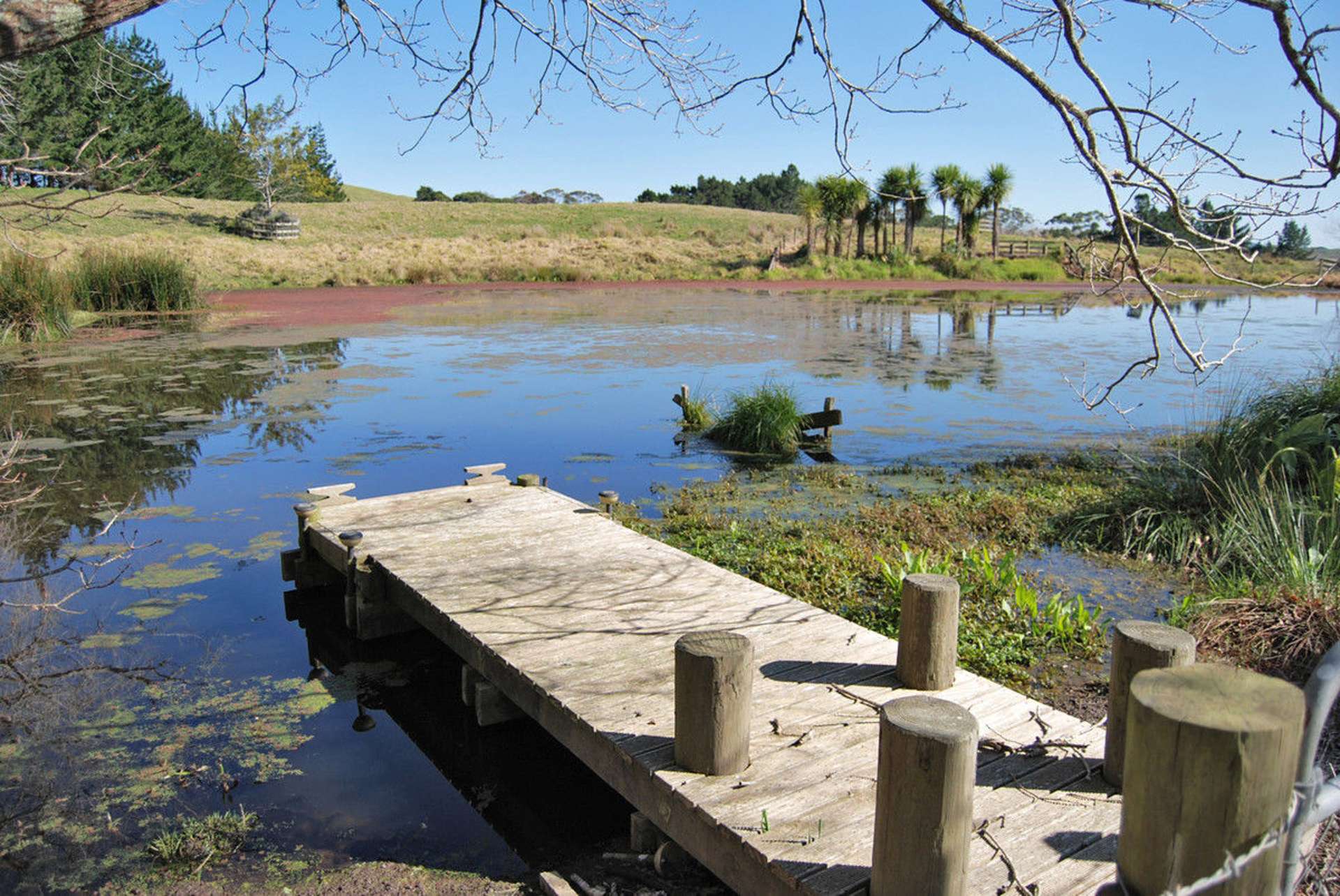 1216 Oneriri Road Kaiwaka_0