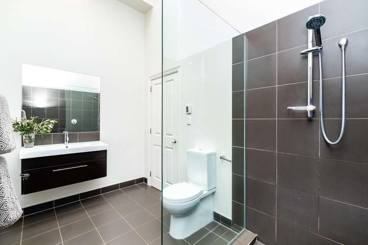 17 Mcgrath Street Napier South_9