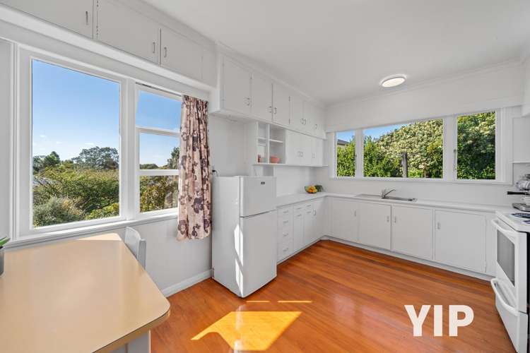 17 Hollies Crescent Johnsonville_6