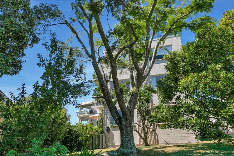 3/5 Curran Street Herne Bay_15