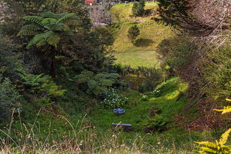 107 Ohiwa Loop Road Opotiki and Surrounds_16