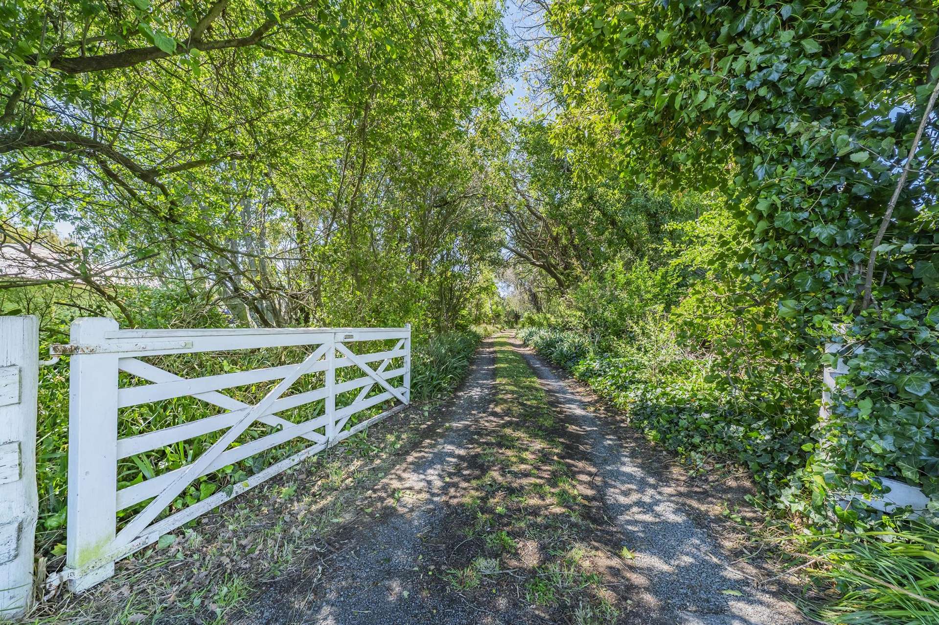 1349 The Lake Road Leeston_0