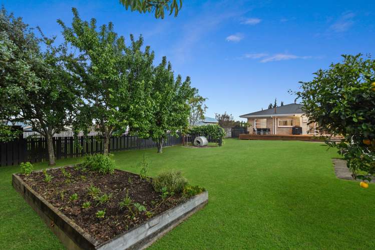95 Lorne Street Te Awamutu_16