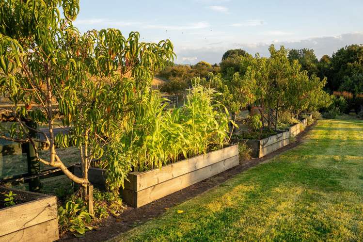 31 Glenroy Place Tikitere_35