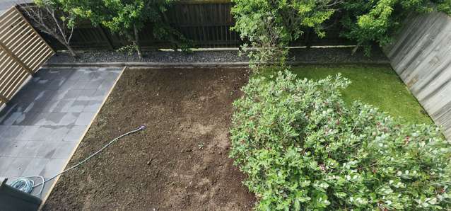 1 Nukumea Common Orewa_4