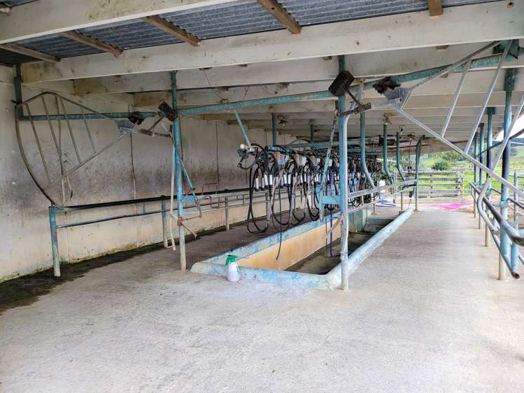 1919 Pouto Road Te Kopuru_10