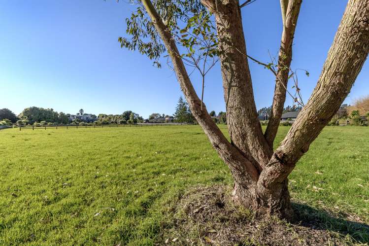 140 Tara Road (Lot 2) Papamoa_10