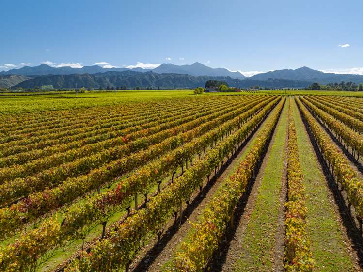 3 Fareham Lane Renwick_2