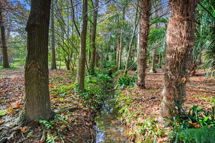 2 Gallagher Street Te Aroha_21