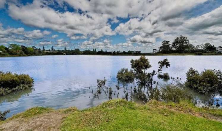 46 Queen Mary Avenue New Lynn_16