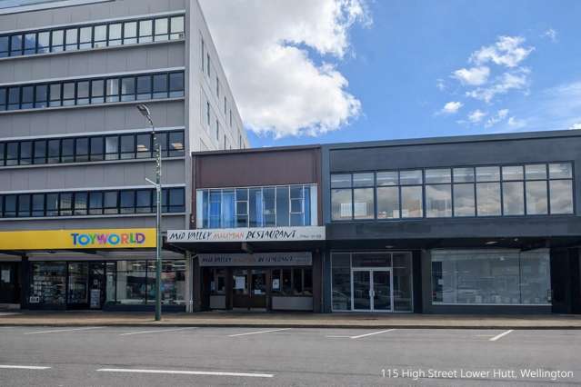115 High Street Hutt Central_3