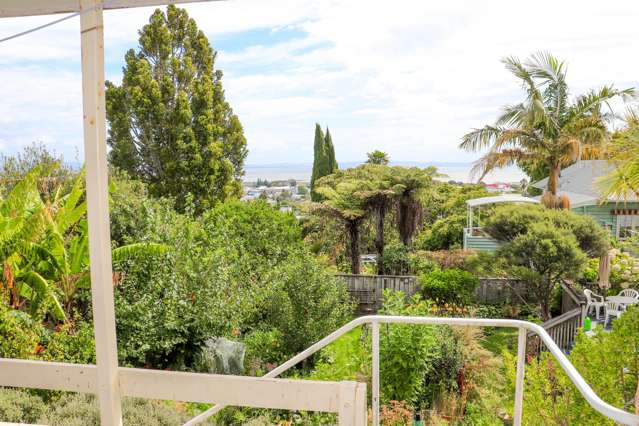 315 Hill Street Thames_2