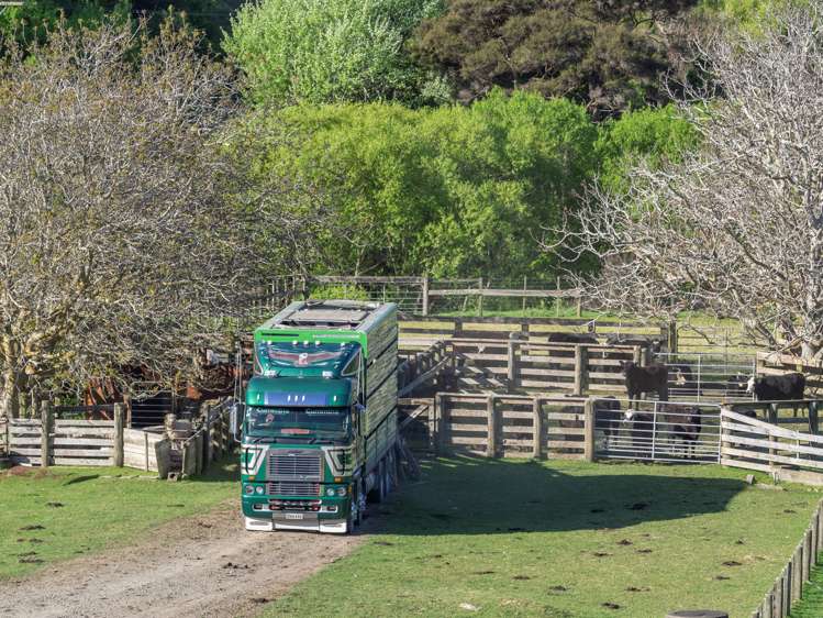 2612 Masterton Castlepoint Road Mangapakeha_9