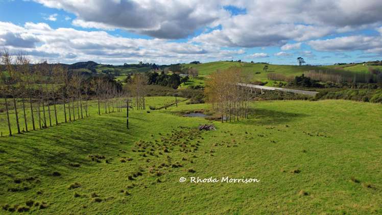 113 Te Rawhiti Road Matakohe_68