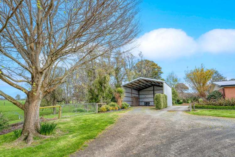 3660 Waipahi Highway Wairuna_21