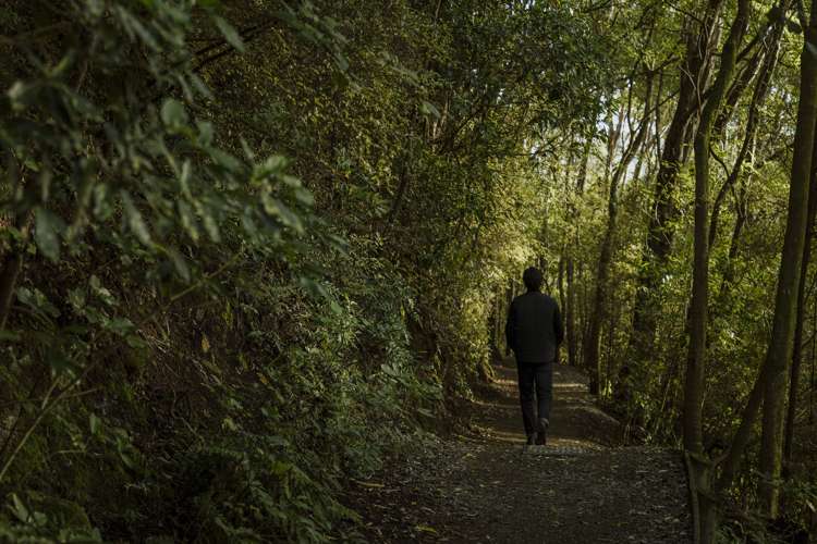 91 Cannington Road Maori Hill Dunedin City Houses for Sale One Roof