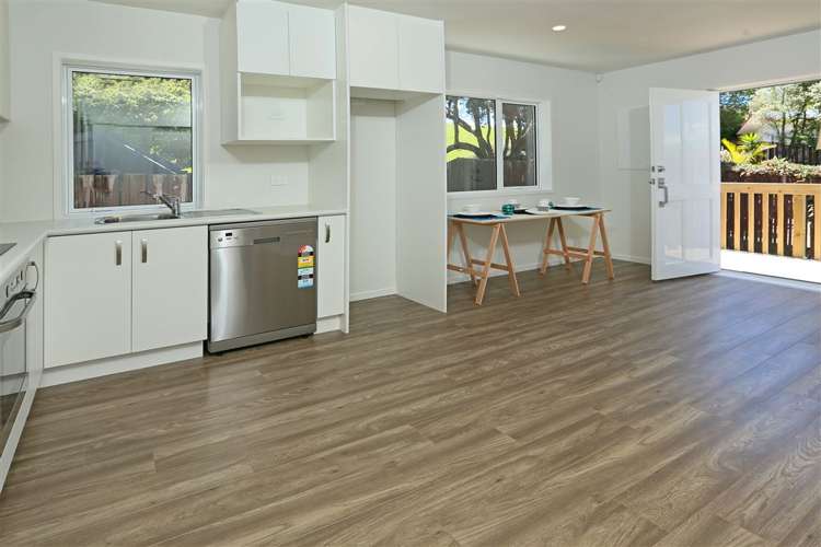 62 Spence Road Henderson_12