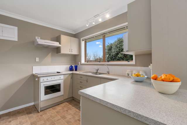 36 Ridge Street Otumoetai_4