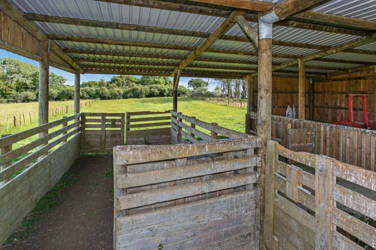 3175 Highway 22 Whangape_5