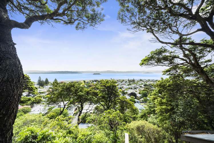 5 Karaka Street Eastbourne_3