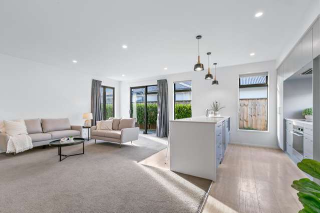 19A Trafalgar Street Levin_1