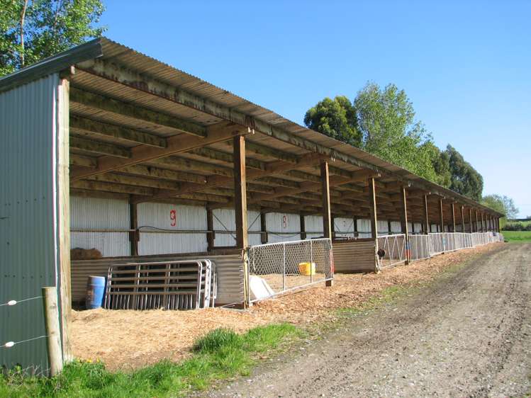 1402 Limehills Browns Road Winton Surrounds_7