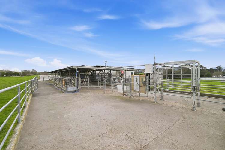 365 Halcrow Road Reporoa_8