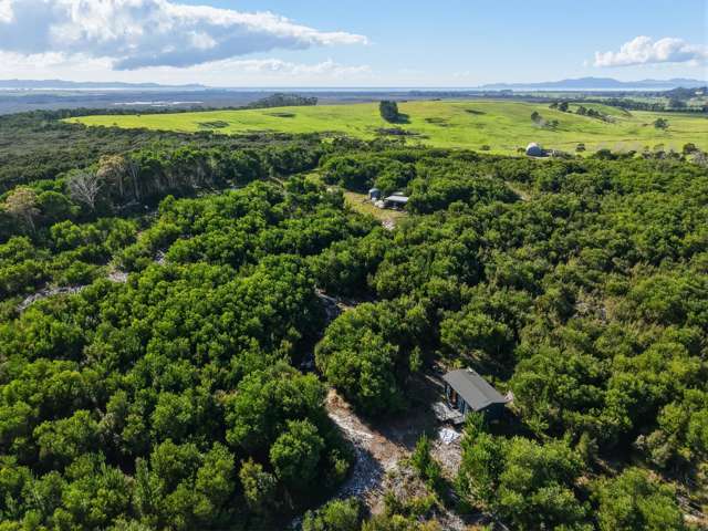 215 Tahanga Road Lake Ohia_2