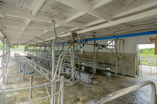 250 North Road Eketahuna_1