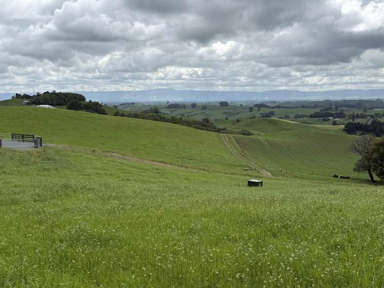 Taotaoroa Road Karapiro_8