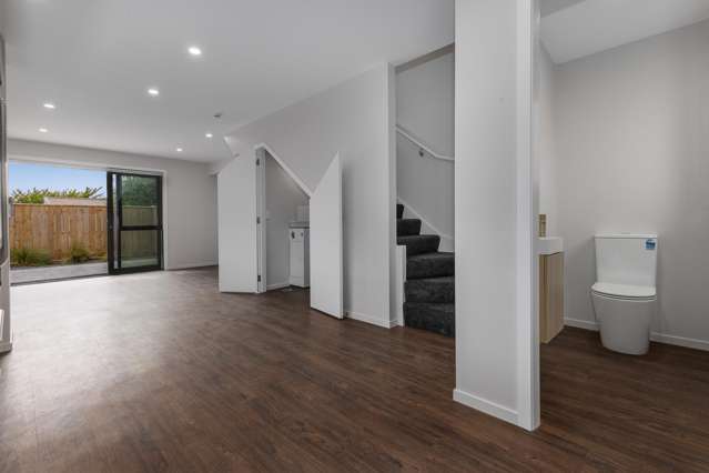 21A Ferguson Street Levin_2