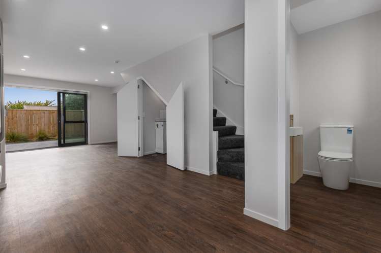 21A Ferguson Street Levin_2