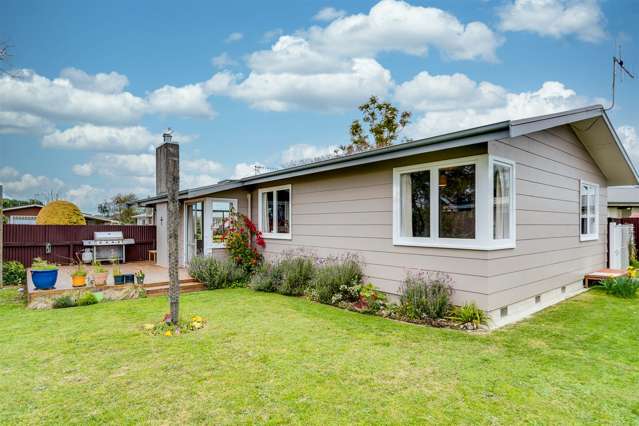 47 Salisbury Avenue Tamatea_2