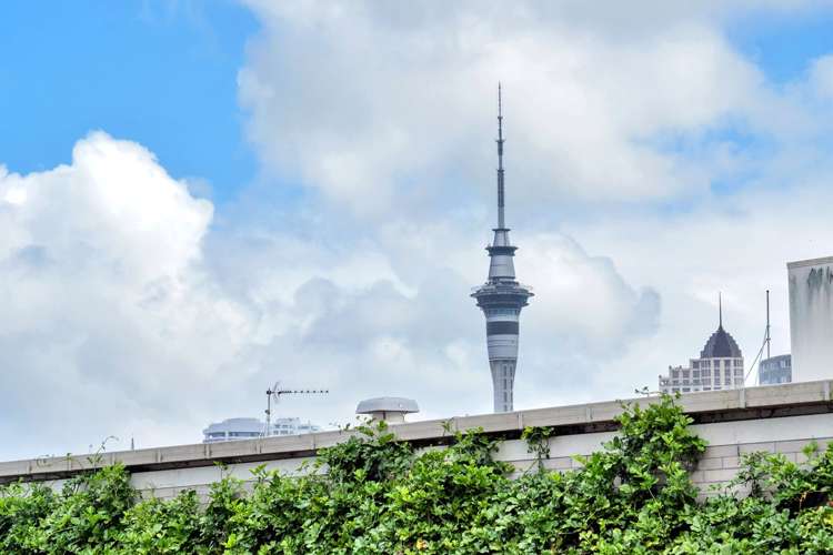 103/10 Fox Street Parnell_4