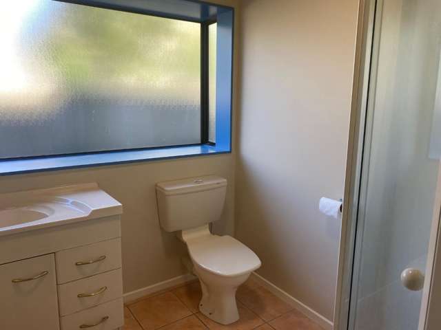 27 Wiremu Street Redwood_4