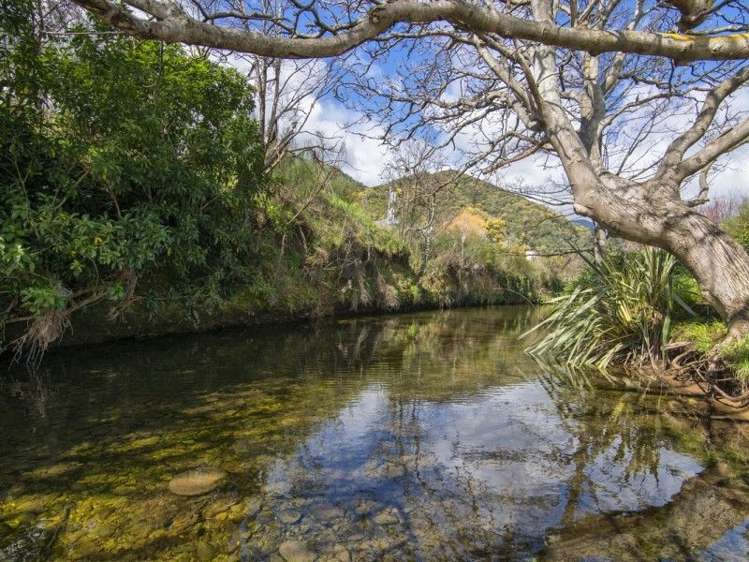 8 Market Street Picton_15