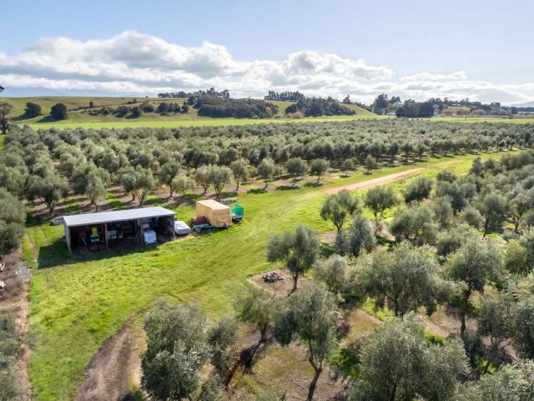244 Dakins Road East Taratahi_6