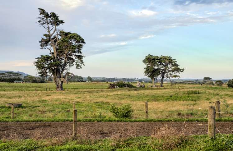 30 Snell Road Opotiki Coastal_13