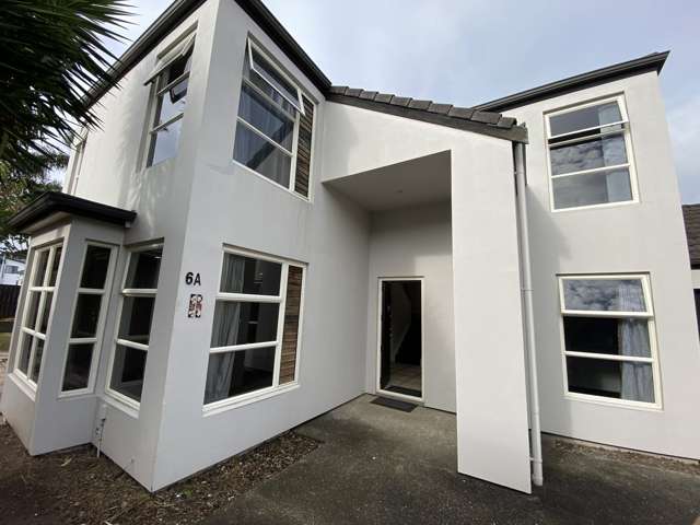 6a Rosedale Avenue Mount Eden_1