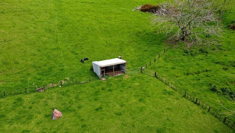 822 Motukawa Road Inglewood_19